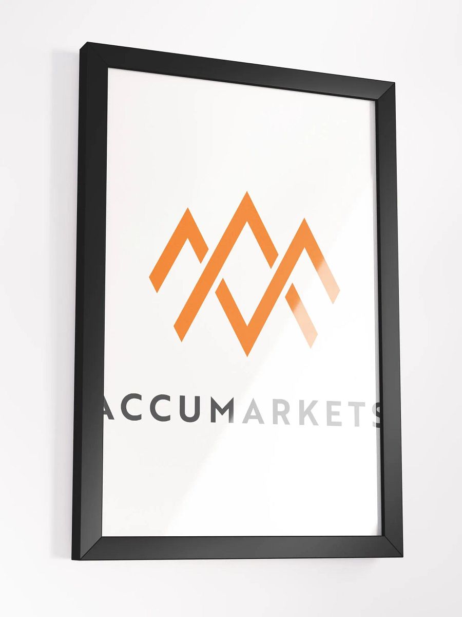 Accumarkets Canvas product image (6)