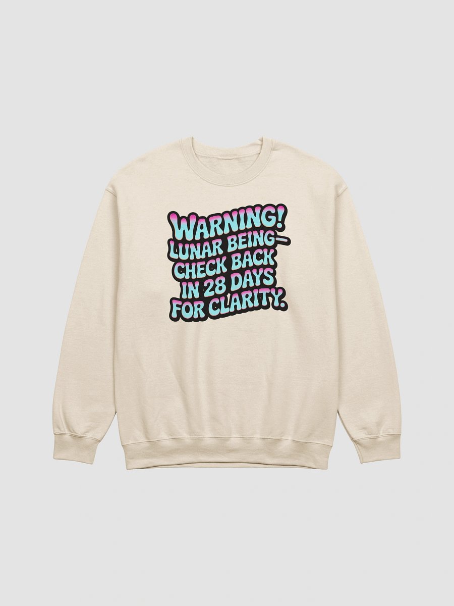 Retro Lunar Being Reflector Sweatshirt product image (1)