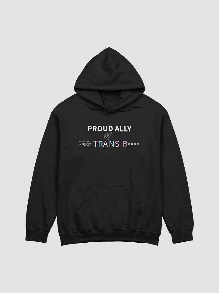 Pretty Proud Ally Hoodie (Trans) product image (1)