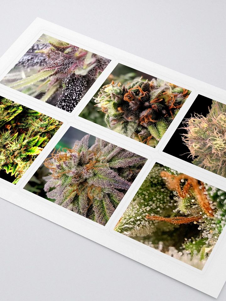 Crop Stickers product image (2)