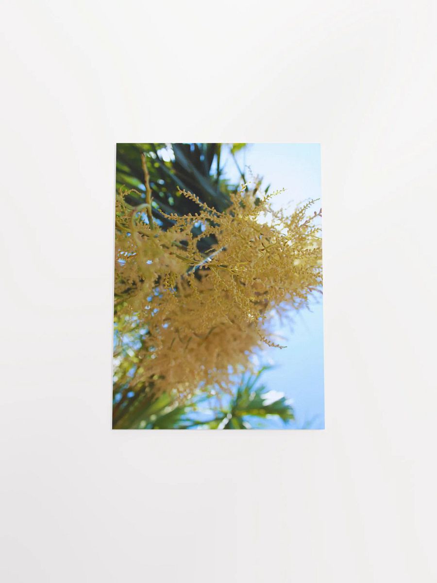 To Be Tiny product image (43)