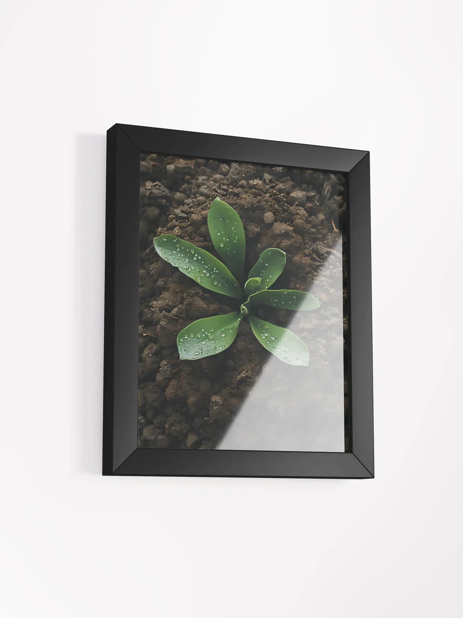 Dewy Greenery Framed Matte Poster product image (3)