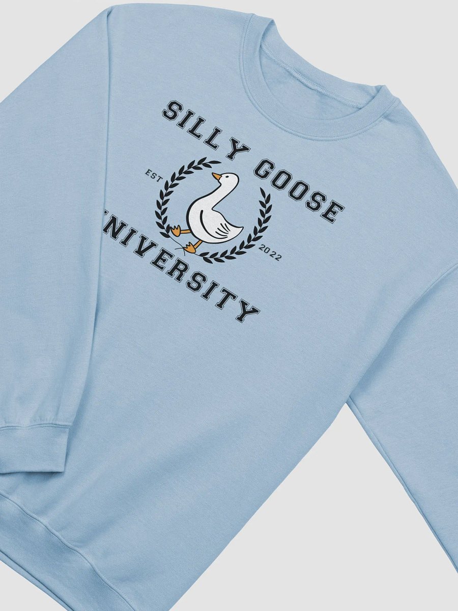 Silly Goose University product image (13)
