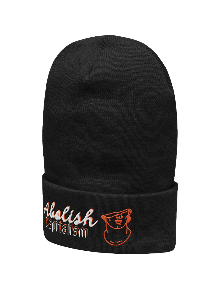 ABOLISH CAPITALISM BEANIE product image (4)