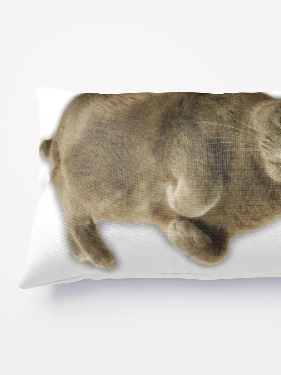 Smokey & Zoey Pillow product image (3)