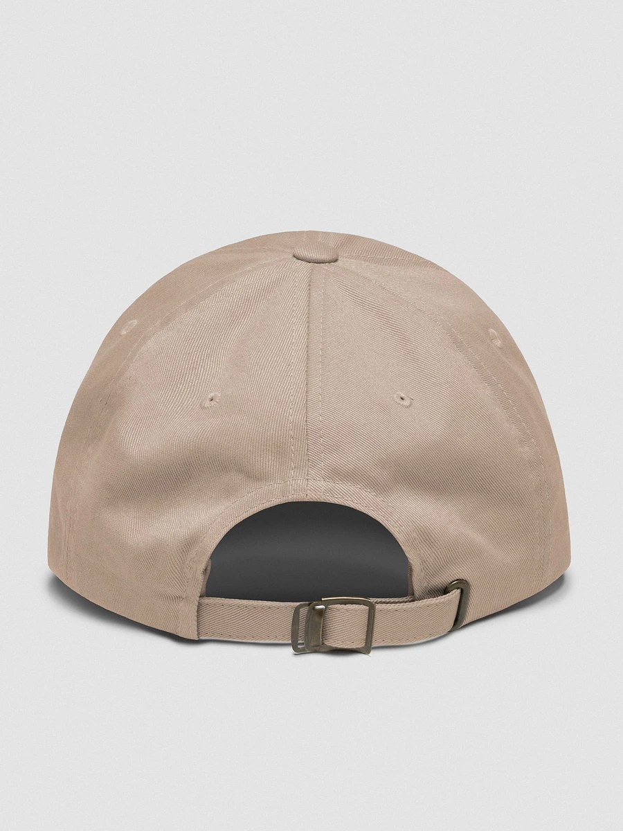 Herd of Birds ( Dad Hat ) product image (58)