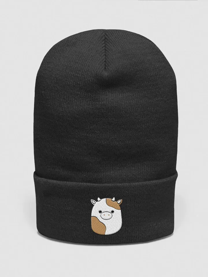 ronnie beanie product image (1)