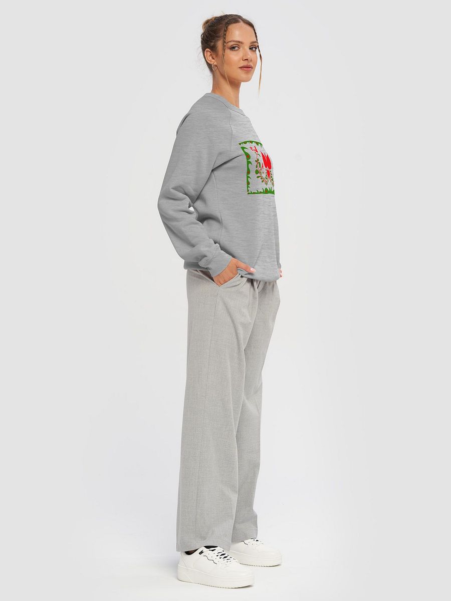 Hungary's Serenada Raglan Sweatshirt product image (6)