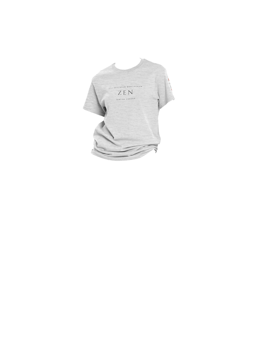 Carpe Diem Zen Gen 1 Tee product image (5)