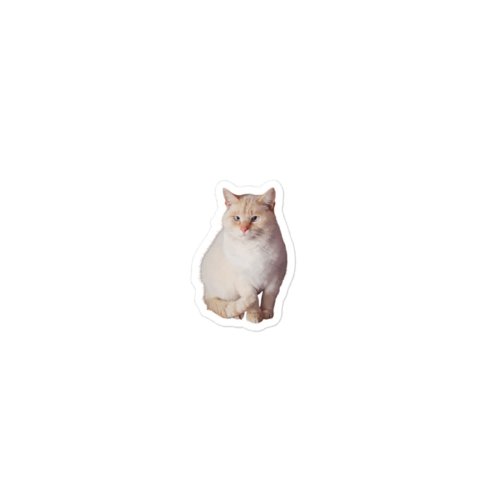 Paws The Cat Magnet product image (1)