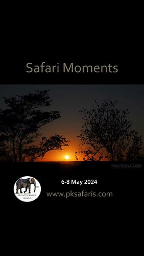 Tour Highlights 6-8 May 2024

#privateguidedsafari #sunset #krugernationalpark #wildlife #privatetours #privatetour
