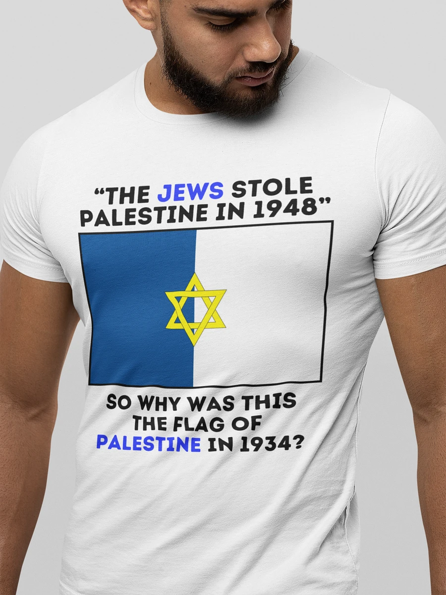 The Real Flag of Palestine product image (1)