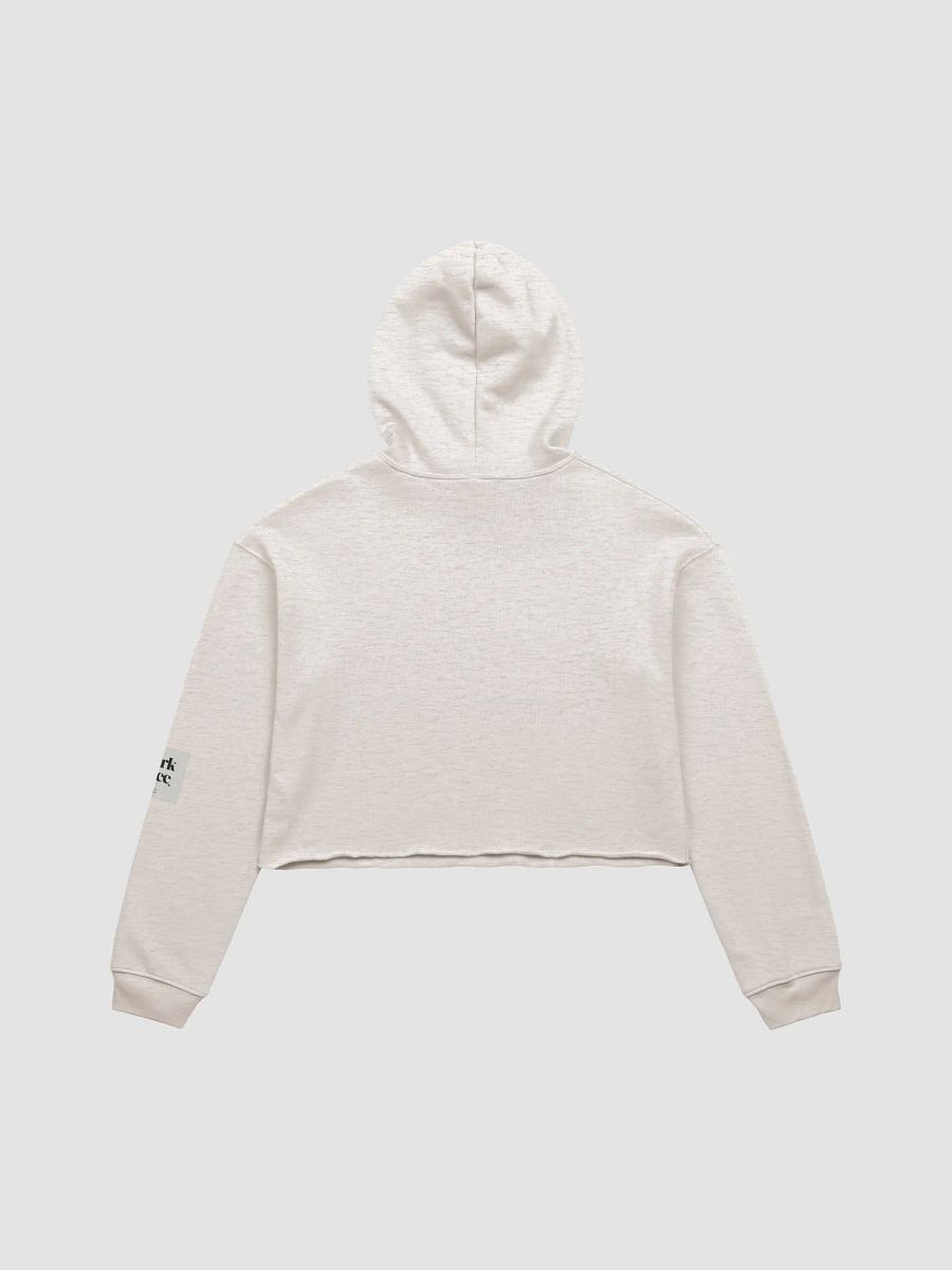 Diabolical Lies Cropped Hoodie 1 product image (2)
