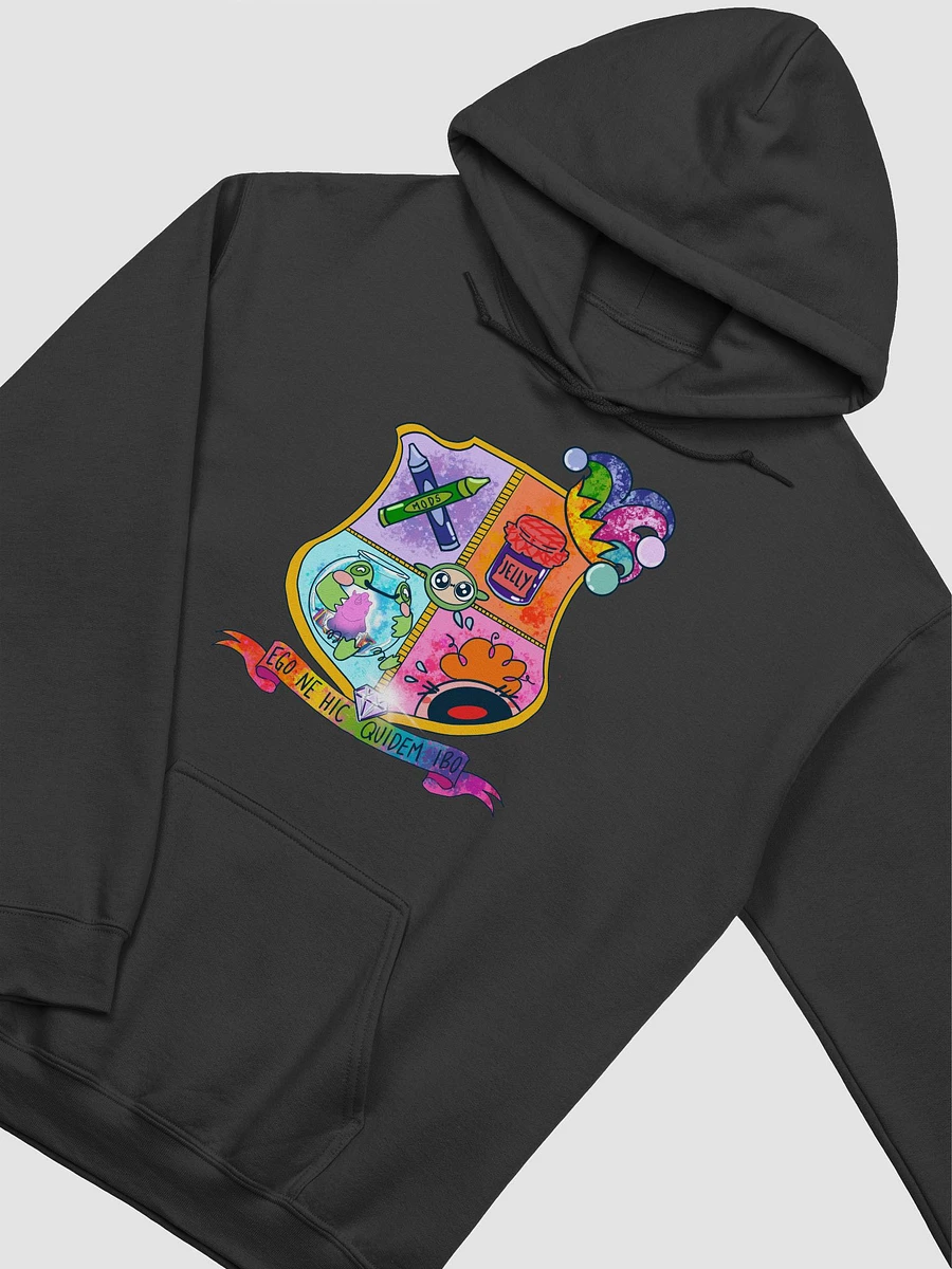 Colourful School of Chaos Hoodie product image (25)