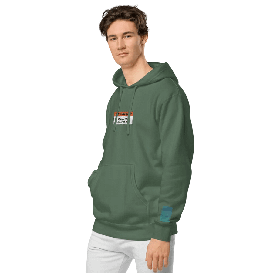 NO SMALL TALK ALLOWED embroidered pigment hoodie product image (4)