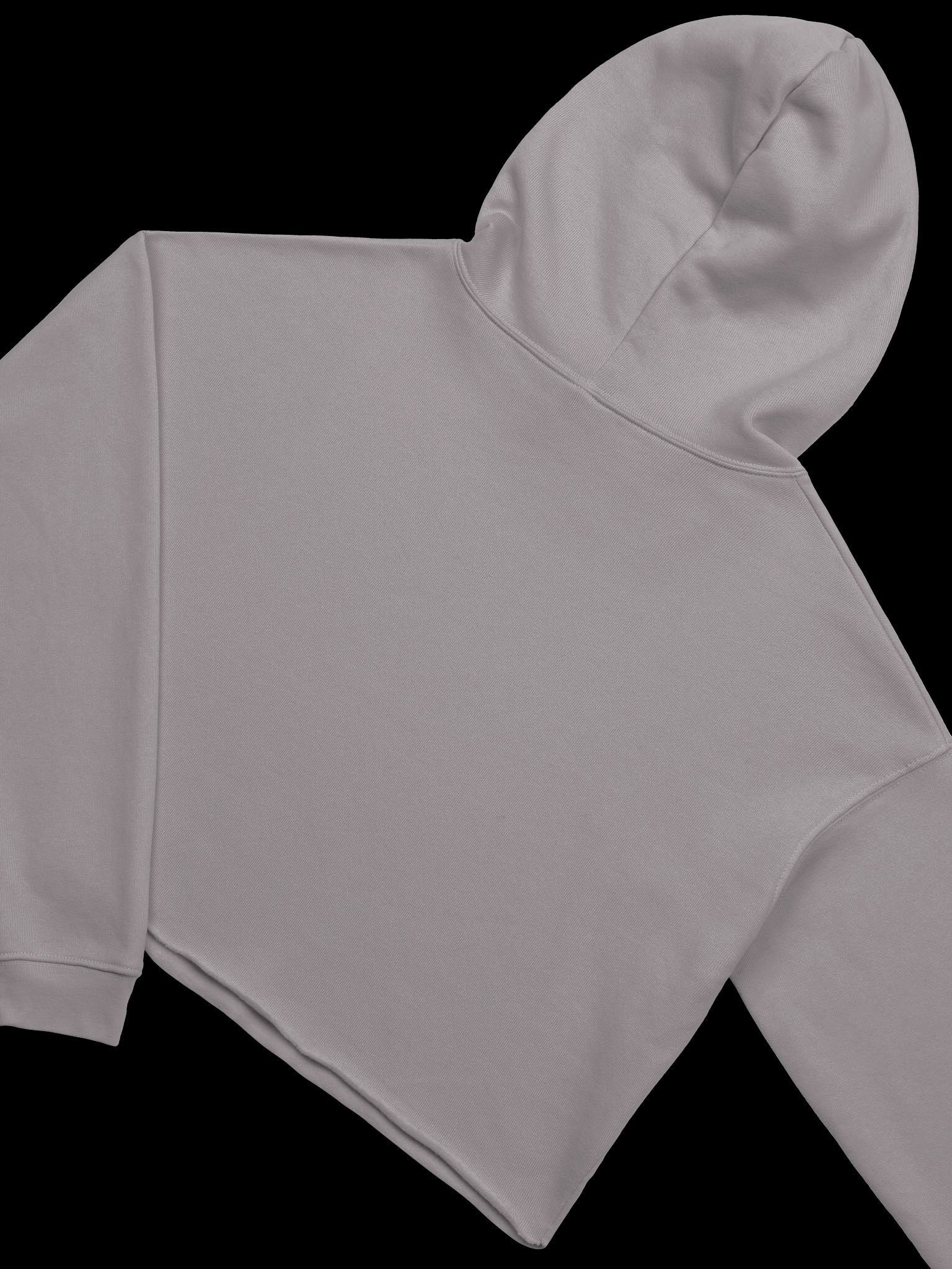 Let's Wrap This Up Coffin Crop Hoodie product image (23)