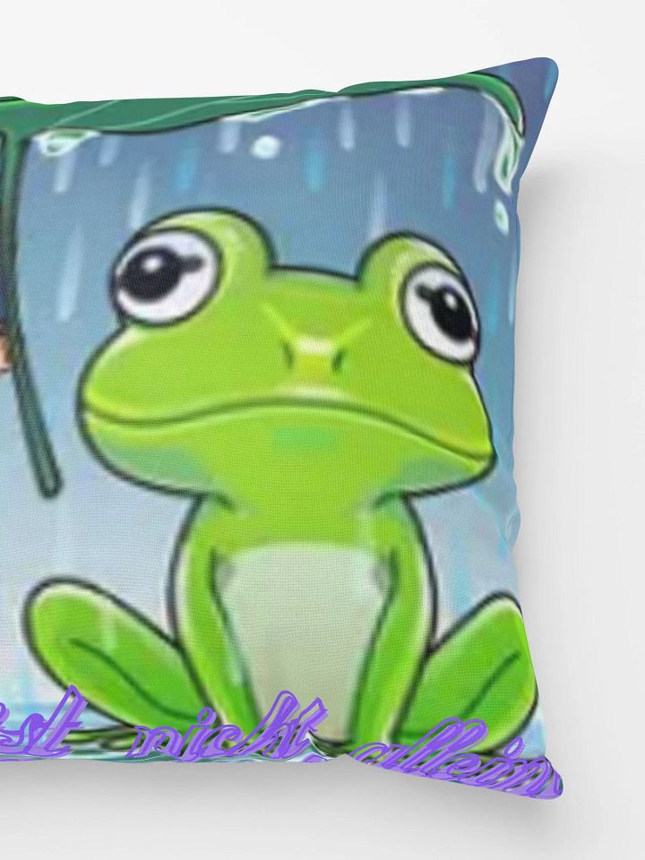 bequemes Kissen mit . ´´ Du bist nicht alleine mit einem Frosch und mit mir als Avatar´´ product image (3)