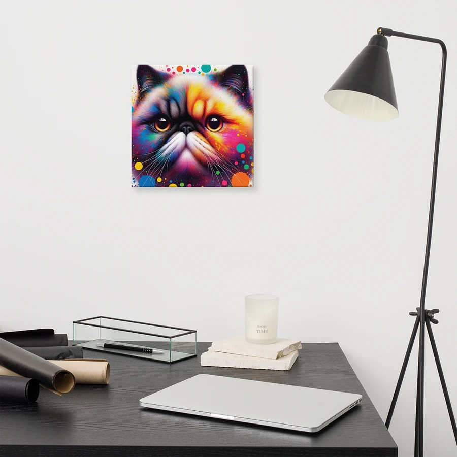 Canvas (in): Exotic Shorthair product image (11)