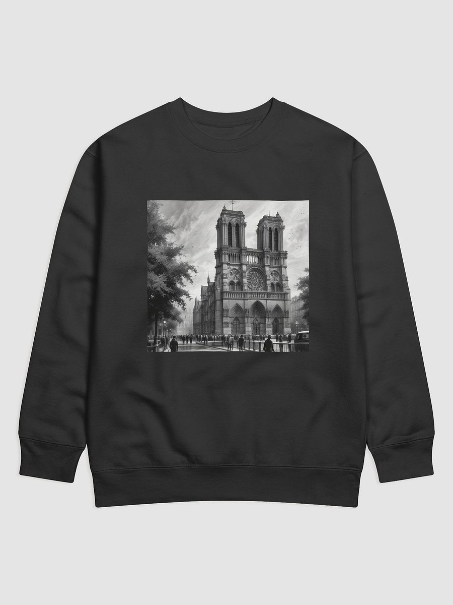 notre dame de paris product image (9)
