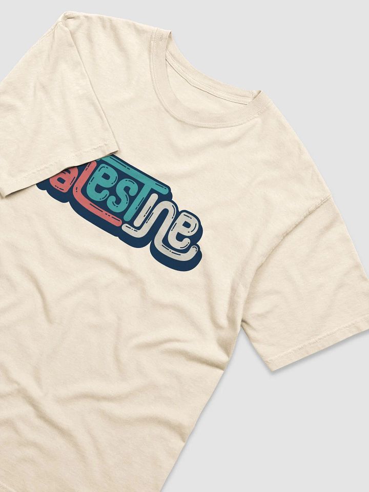 Palestine Retro Printed Tee product image (1)