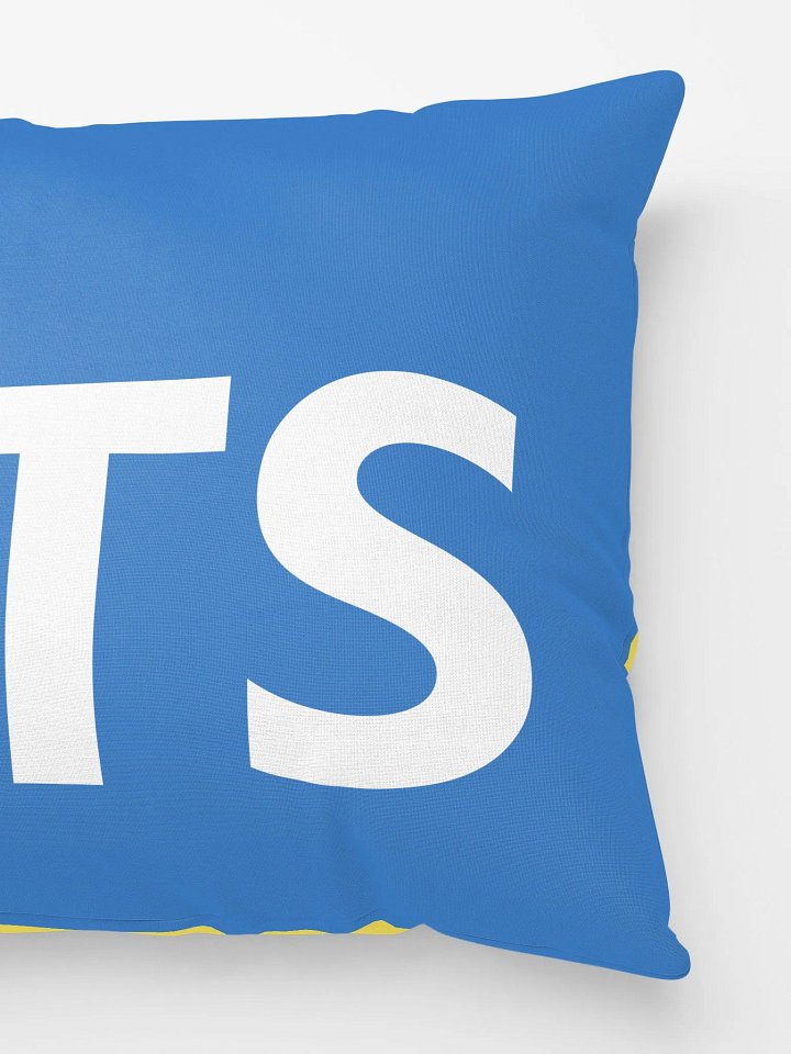 JavaScript / TypeScript Pillow product image (2)