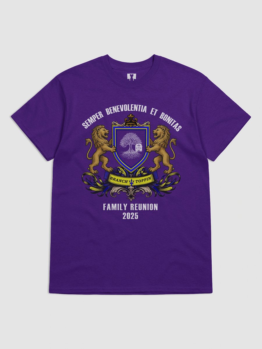 BT Reunion Tee DC product image (26)