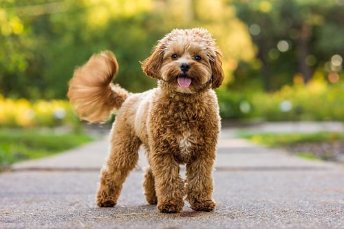 Bodie was an absolute angel during his session! 😇 You can just feel the love and joy he brings to his momma’s life—it's writt...