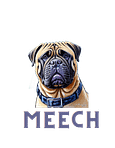 Meech