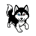 Spungus Merchandise