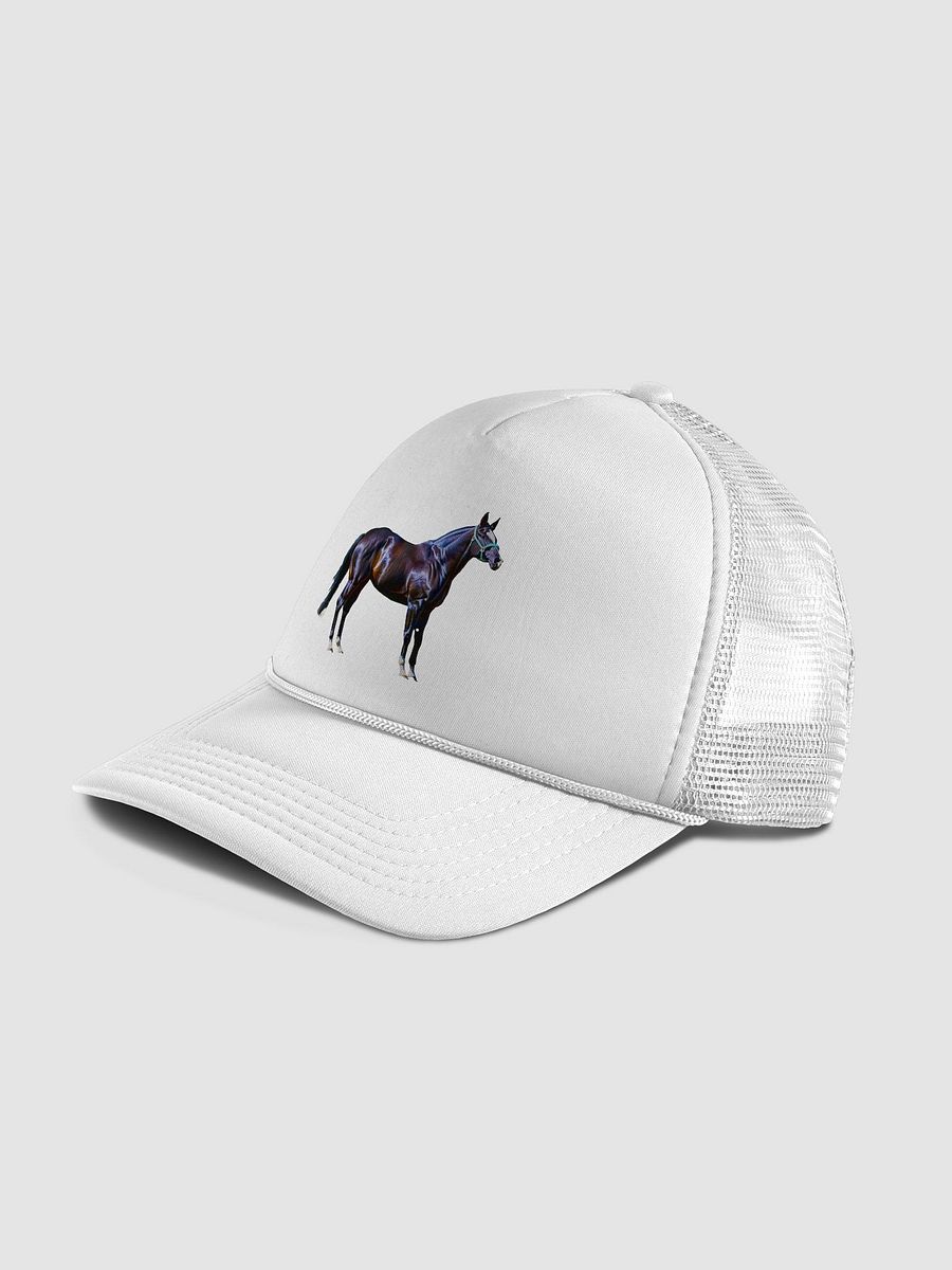 Timeless Trucker: The Horse Hat for the Modern Maverick product image (36)