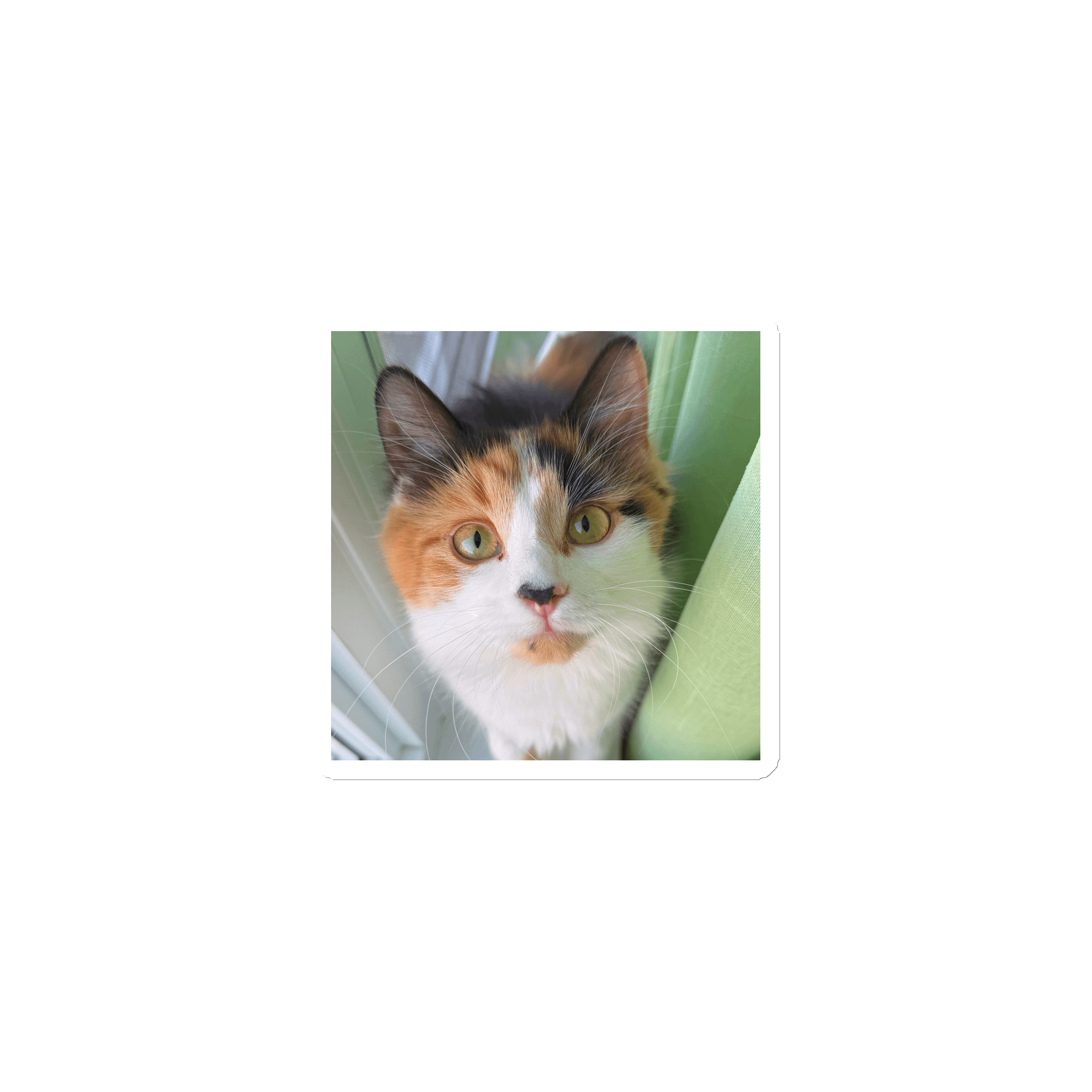 Stinking Cute Magnet product image (1)
