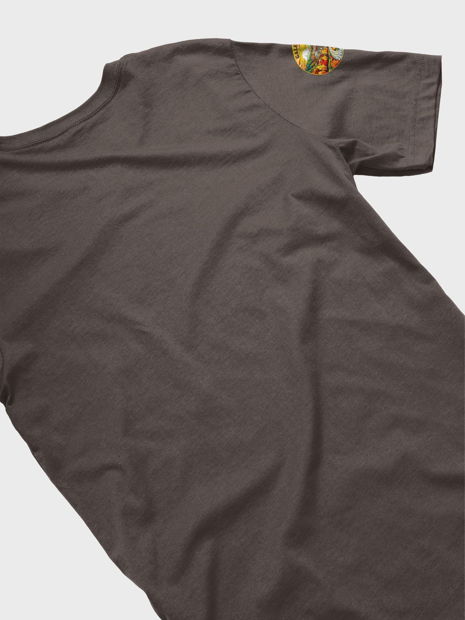 Galena Illinois Autumn Vibes Tee product image (4)