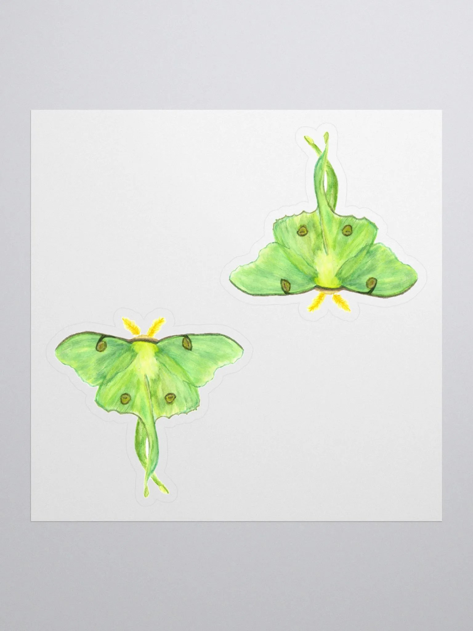 Luna Moth Sticker (x2) product image (1)