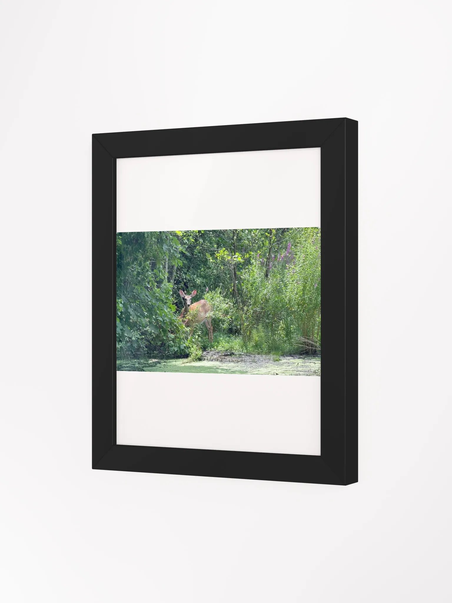 Deer In The Wild print product image (21)