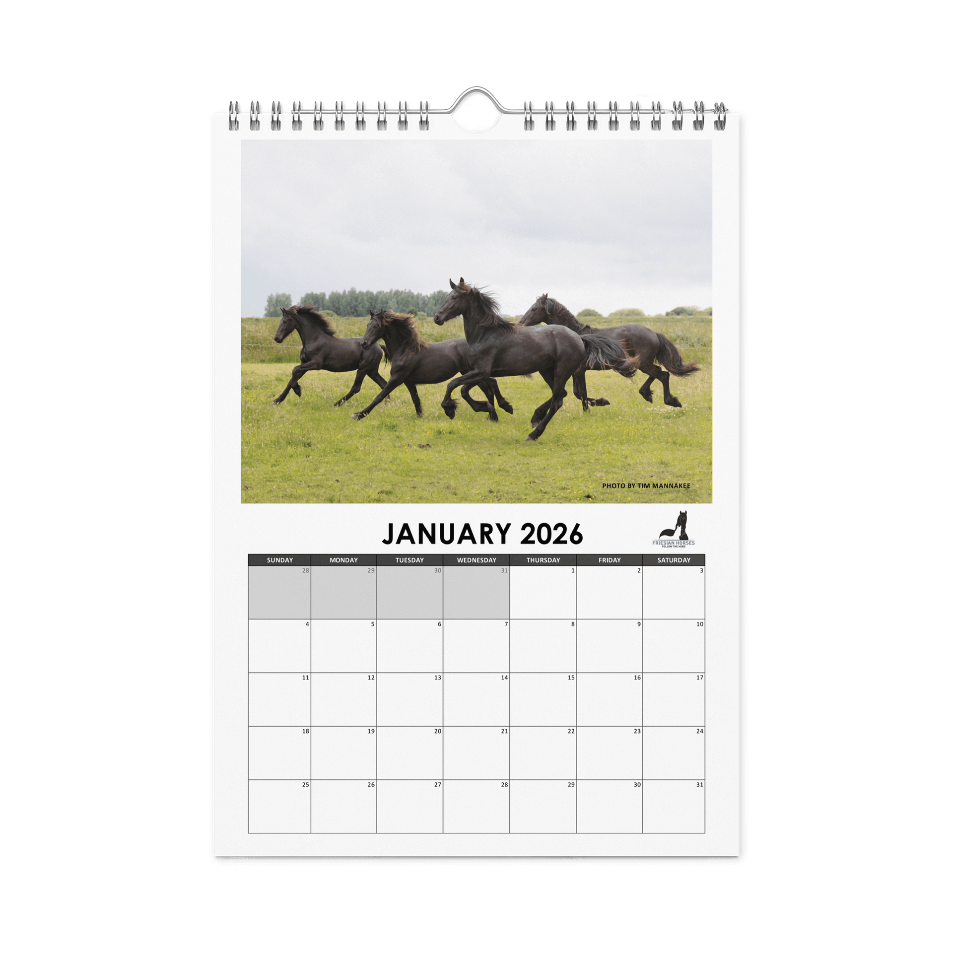Friesian horses 2026 Wall Calendar product image (6)