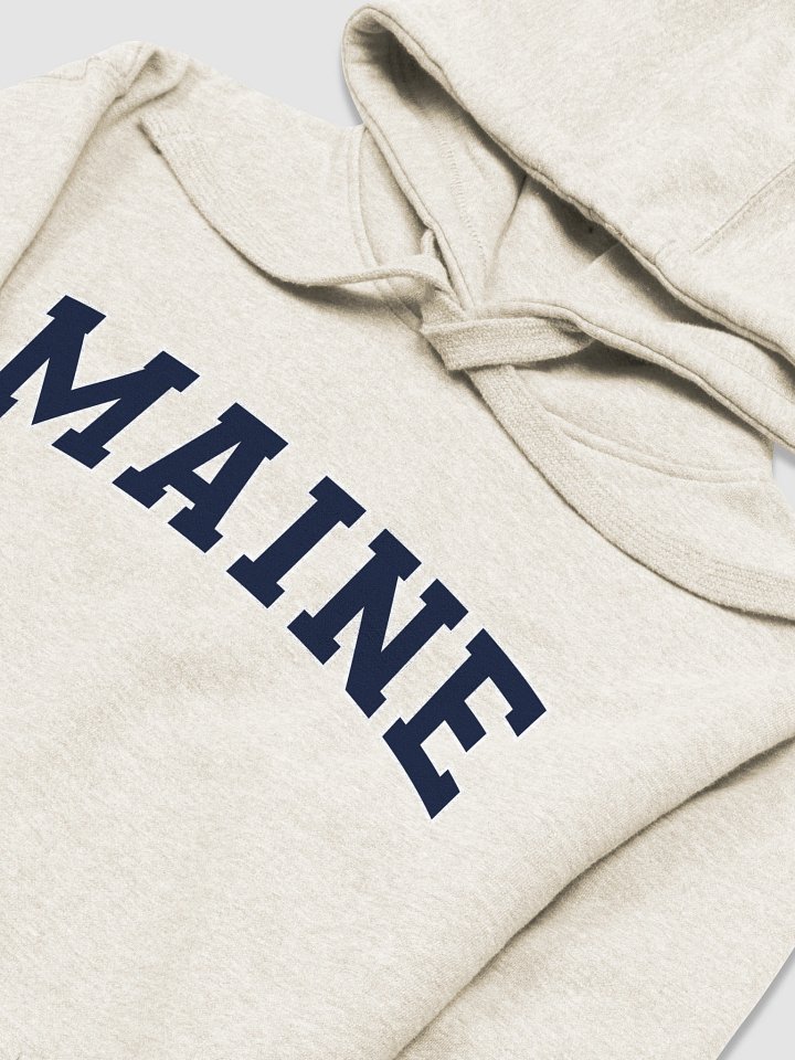 Maine Vintage Stylish Unisex Premium Hoodie product image (2)