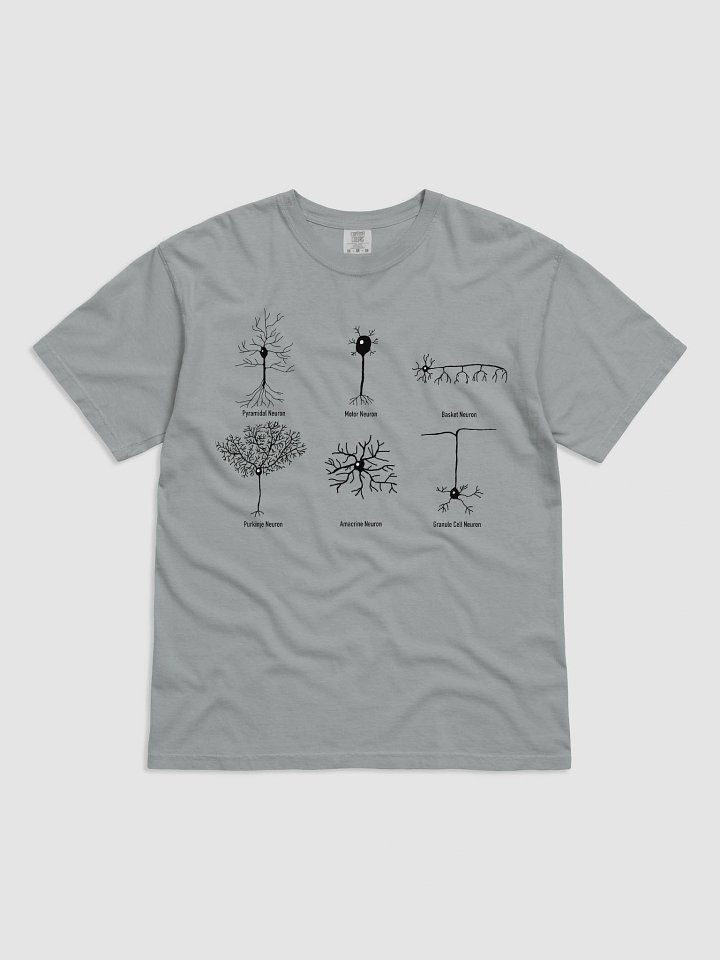 Types Of Neurons T-Shirt - Comfort Colors product image (1)