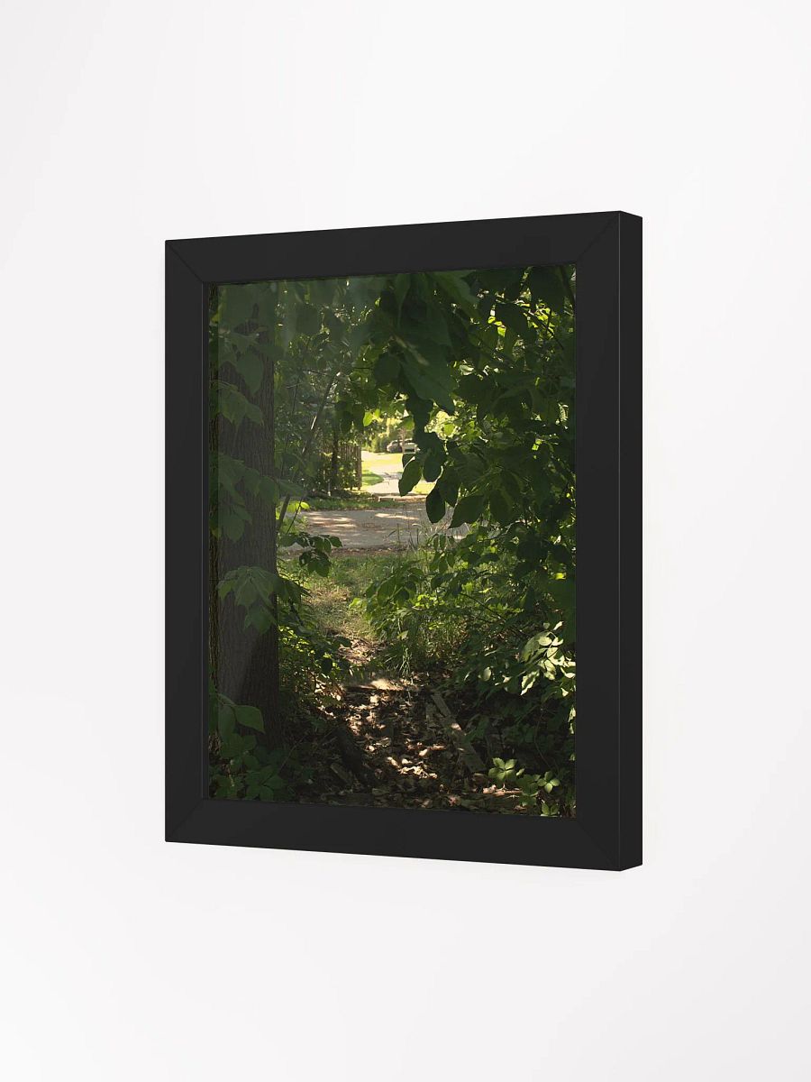Nature Surrounded (framed) product image (15)