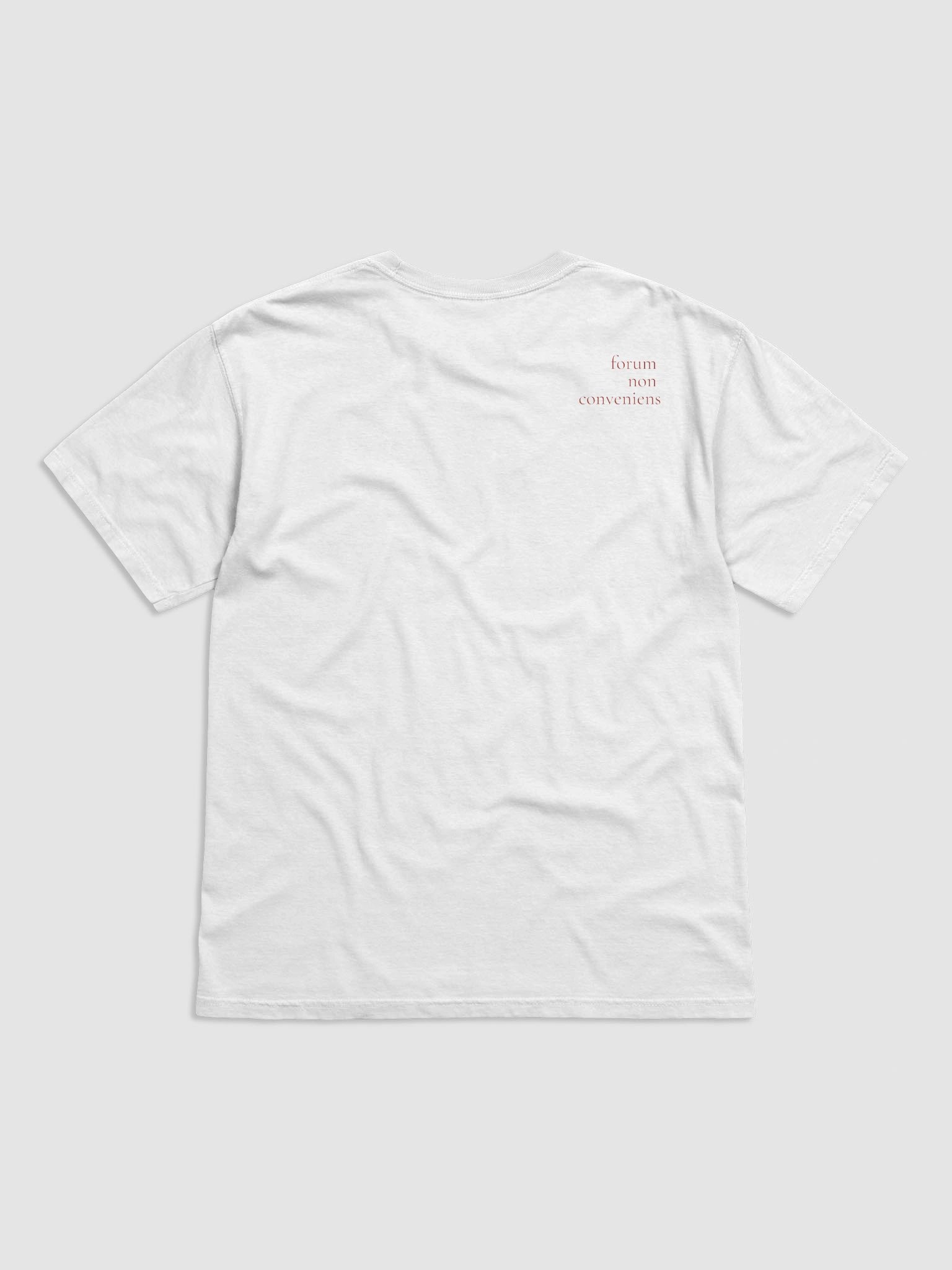 issue preclusion product image (2)