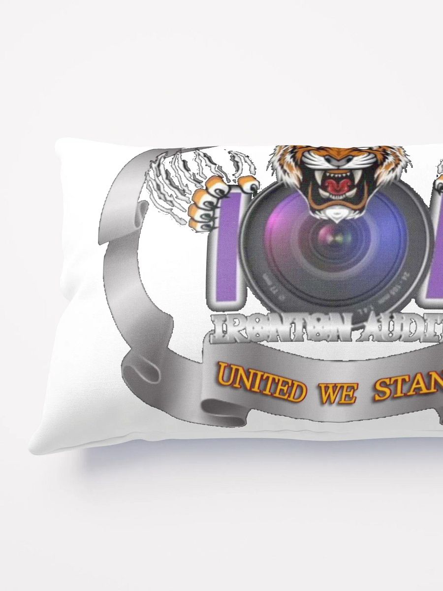 Ironton Auditor Pillow product image (6)