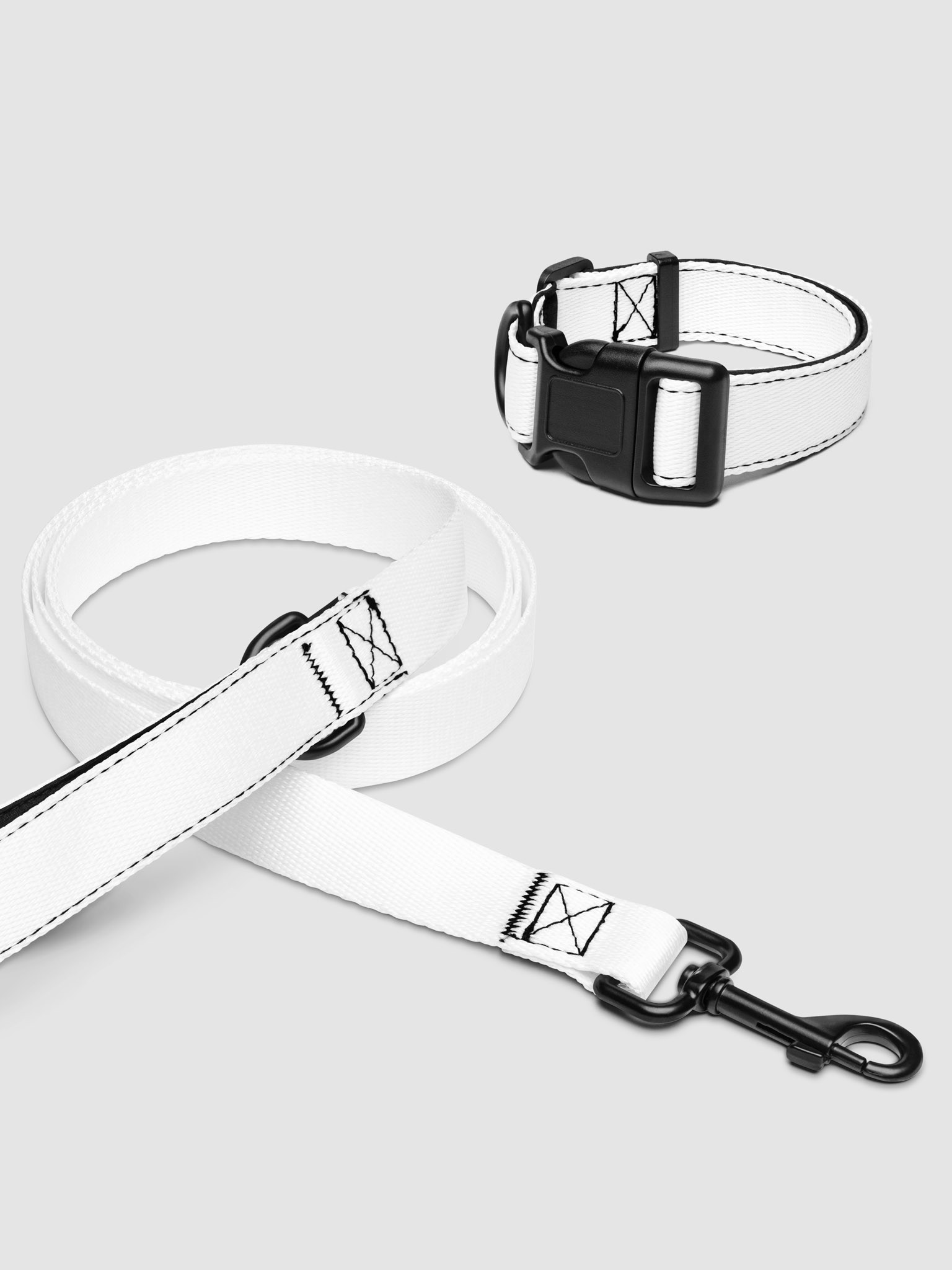 Photo showing Pet Collar & Leash