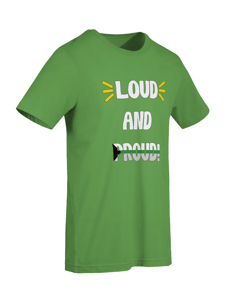 Loud and Proud Demiromantic T-Shirt product image (81)