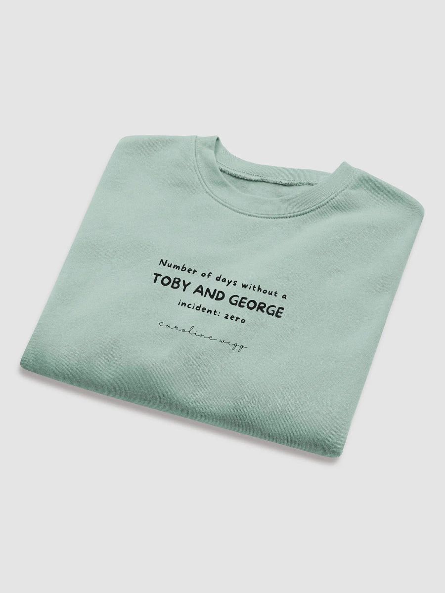 Toby and George Incident Crop Sweatshirt - Light Colours product image (8)