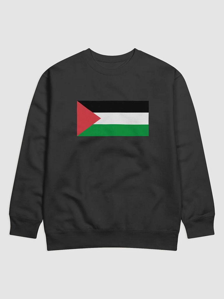 Palestine Long Sleeve - Big Flag product image (1)