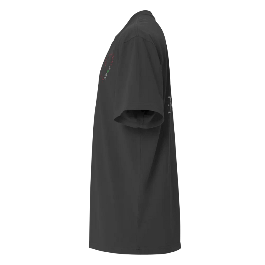 Heartfelt Unity Oversized Tee product image (7)