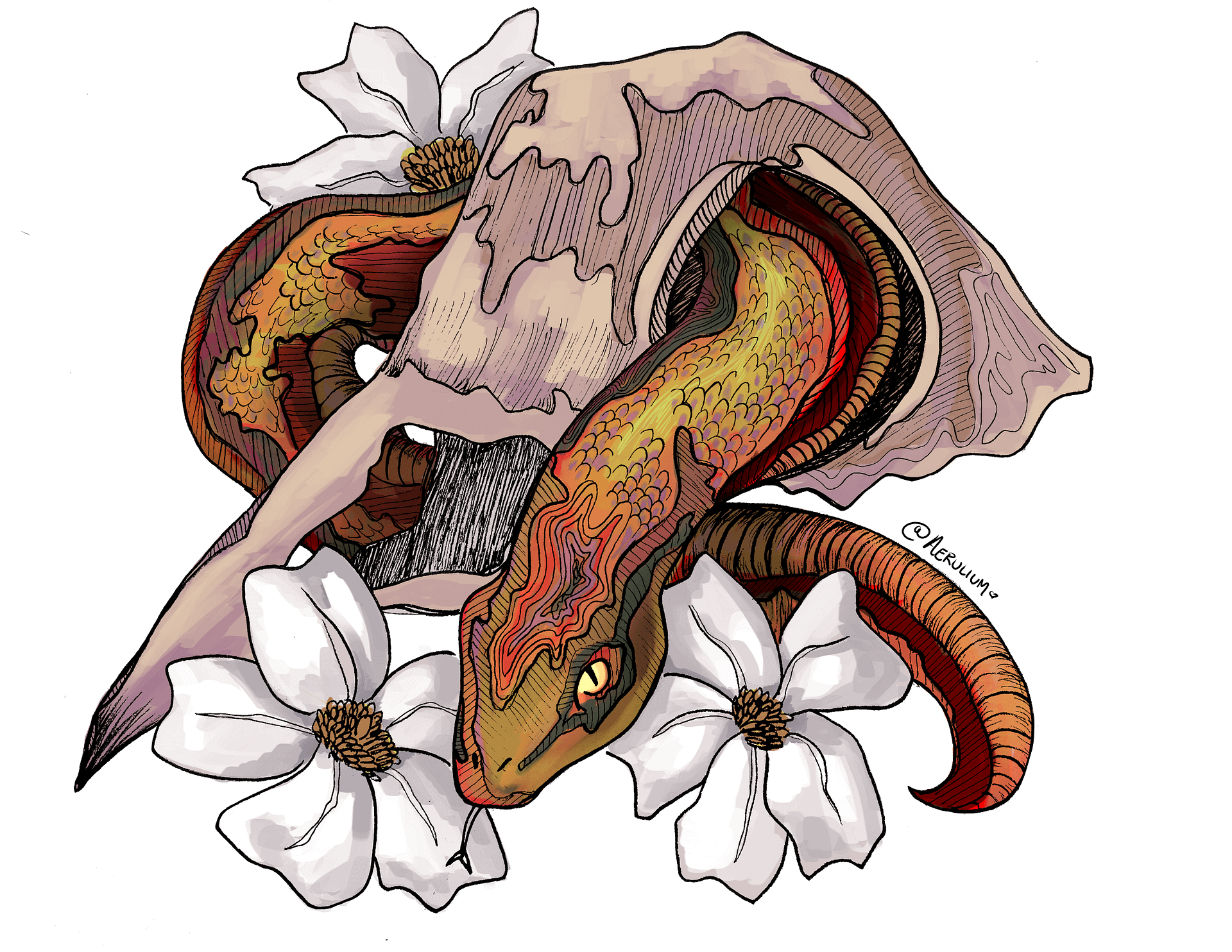 Snake and Bird Skull Digital Coloring Page product image (3)
