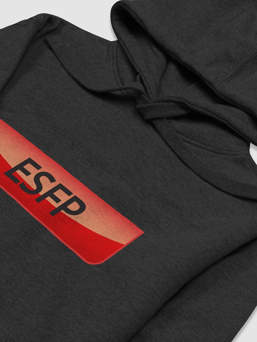 ESFP Hoodie product image (3)