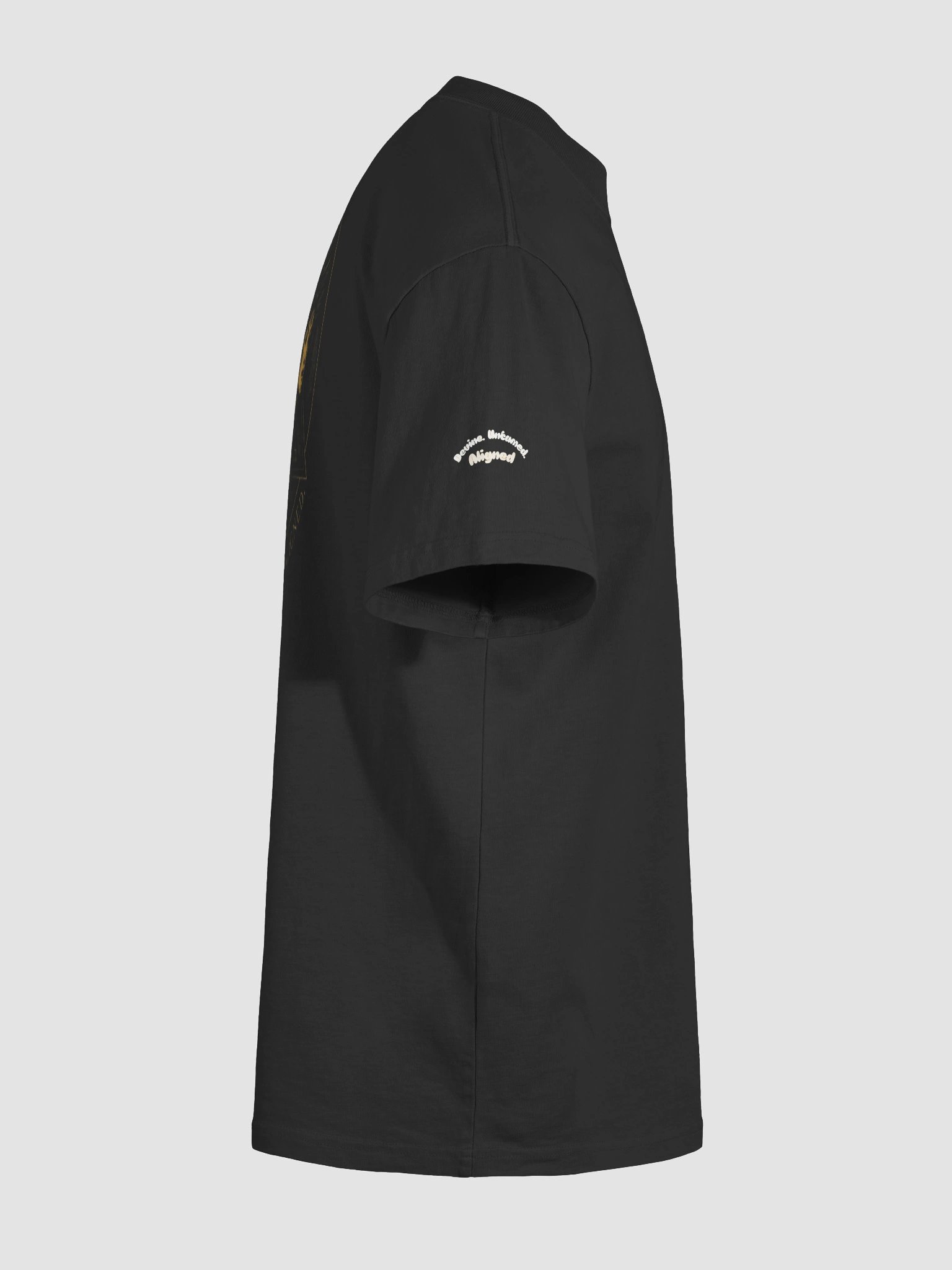 Divine Feminine Circle Oversized Tee product image (11)
