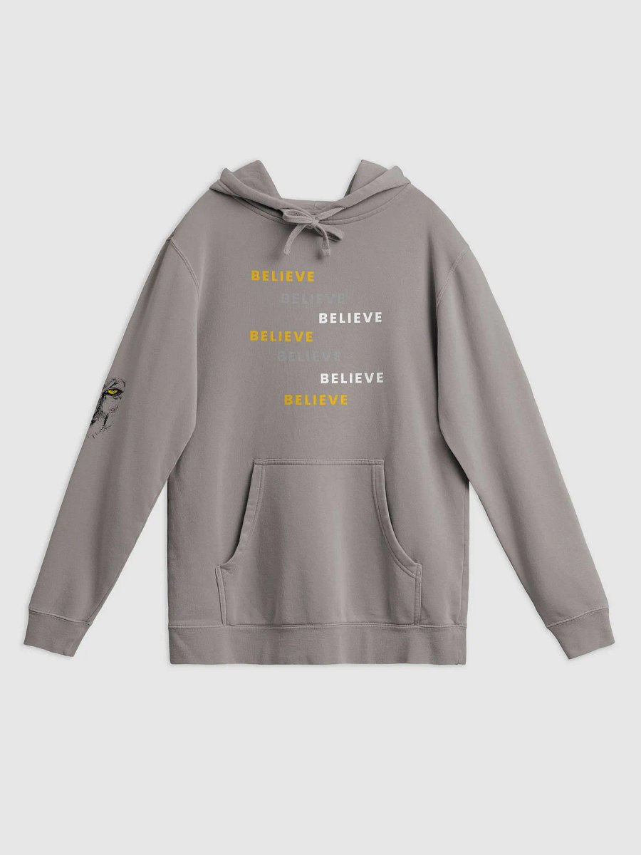 BELIEVE Vintage Hoodie product image (3)