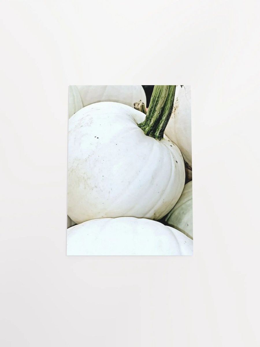 White Pumpkin product image (44)